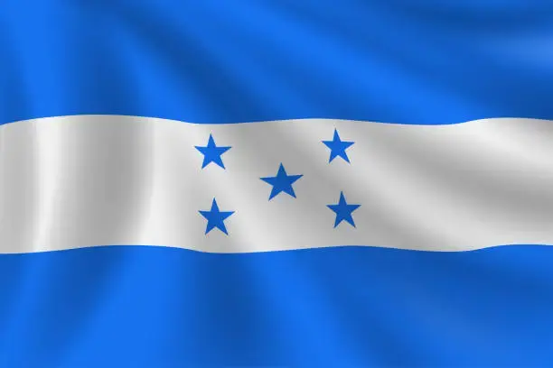 Flag Documentation 
